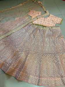 Lehenga choli ชุดปาร์ตี้ออกแบบโดยดีไซเนอร์แบบพรีเมี่ยมพร้อมงาน dori และ Jari และ Jari Flair CAN - Product Image 3