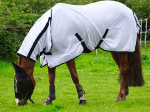 Tapis de cheval d'hiver sur mesure de la meilleure qualité en polyester léger imperméable et respirant - Product Image 4