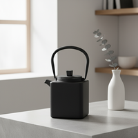 Offre Spéciale 3009441-0.8 Théière en fonte émaillée 800 ml avec couvercle en acier inoxydable Passoire en maille avec poignée en fonte, style japonais, revêtement émaillé en fer