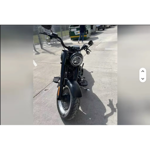 Motocicleta Harley-Davidson Fat Boy Nueva - Product Image 6