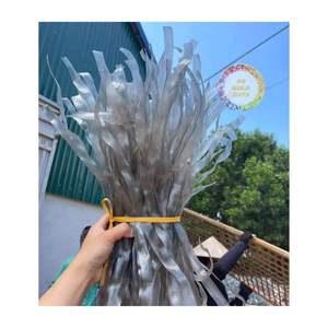Natural Arrowroot Glass <b>Noodles</b> Big Strand High Quality Arrowroot Vermicelli Dried Glass <b>Noodles</b> Best Price - Product Image 3