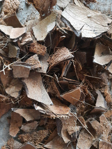 Cáscara de Coco Cruda Premium de Calidad Limpia para Productores Artesanales y Fabricantes de Briquetas de Carbón Vegetal a Granel - Product Image 6