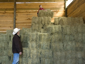 Fournir de grandes quantités de rouleaux de paille carrée au Vietnam - Product Image 4