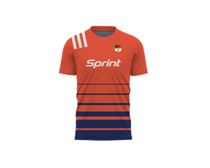 Venta al por mayor de uniformes de fútbol con logotipo de equipo de impresión gratuita multicolor personalizado - Product Image 2