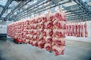 ซี่โครงท้องหมูแช่แข็ง, ซี่โครงอะไหล่หมูทั้งชั้น - Product Image 6