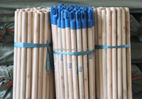 Balai à manche en bois d'eucalyptus, tête en plastique, poils doux, portable, naturel, 6 pouces, prix de gros usine, personnalisable, pas cher