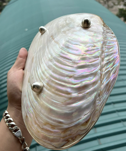 Vietnam décoratif nacre plaque artisanale artisanale coquille plat de service pour Table à manger décoration intérieure - Product Image 3