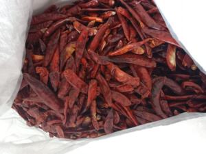 Chile Rojo Seco al Sol de Primera Calidad, Entero, para Distribuidores Globales de Especias, Alta Picante, Pimiento Rojo Natural, Calidad Estándar de Exportación - Product Image 5