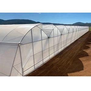Теплица из оцинкованной стали с многопролетным поликарбонатным покрытием для сельского хозяйства, туннельная теплица для выращивания цветов и растений - Product Image 3
