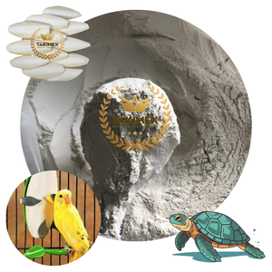 Polvo de calcio de sepia hecho en Vietnam, hueso de sepia triturado, polvo de hueso de sepia, el mejor precio para exportar - Product Image 1