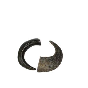 เครื่องเคี้ยวเล่นสำหรับสุนัขทำจากเขาควายธรรมชาติสำหรับเคี้ยวเล่น - Product Image 6