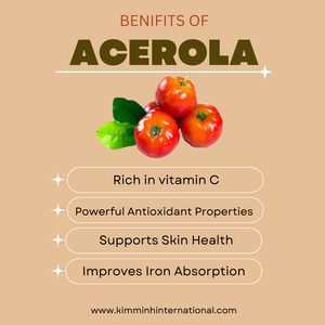 La meilleure purée d'acérola de Kim Minh International en vrac Confiture à saveur sucrée emballée en vrac - Product Image 3