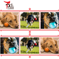 Balle en caoutchouc solide colorée de 2.5 pouces avec jouets à mâcher pour animaux de compagnie du Vietnam Échantillon gratuit et vente en gros OEM disponible