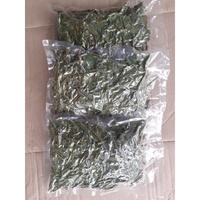 Sauropus Androgynus Kering/Katuk/Tepung Berkelompok atau Daun Manis/Liburan