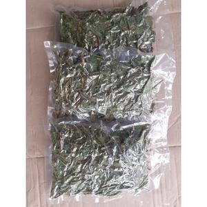 Sauropus androgynu séché/Katuk/amidon en grappe ou feuilles douces/vacances - Product Image 3