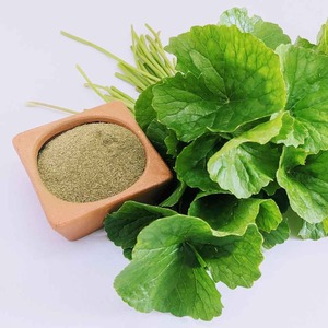 ผง Gotu Kola ออร์แกนิกผงใบเซนเทลล่าสีเขียวบริสุทธิ์ผลิตในประเทศเวียดนาม - Product Image 1