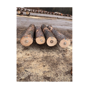 Original Oak Timber <b>LOGS</b> | Oak Wood Round <b>Logs</b> at <b>Cheap</b> Wholesale Price Mangroove Hard Wood Firewood Birch Wood - Product Image 2