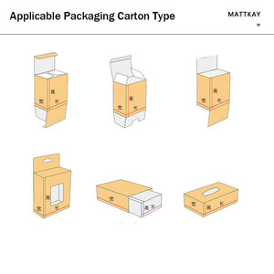 CE認証取得済みのヨーロッパ市場向け自動カートニングマシン、小袋・小箱包装機 - Product Image 3