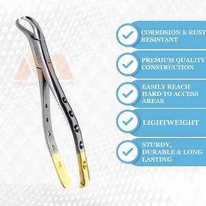 Forceps d'extraction dentaire, modèle américain, instrument chirurgical dentaire, acier inoxydable, forceps d'extraction dentaire modèle américain - Product Image 6