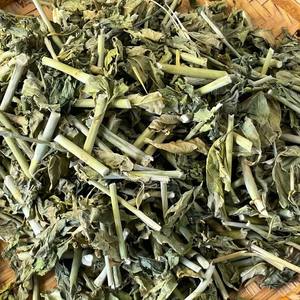 Planta Herbaria Tradicional de Vietnam Clinacanthus Nutans / Hierba de Hierba de Serpiente Seca al por Mayor - Product Image 3