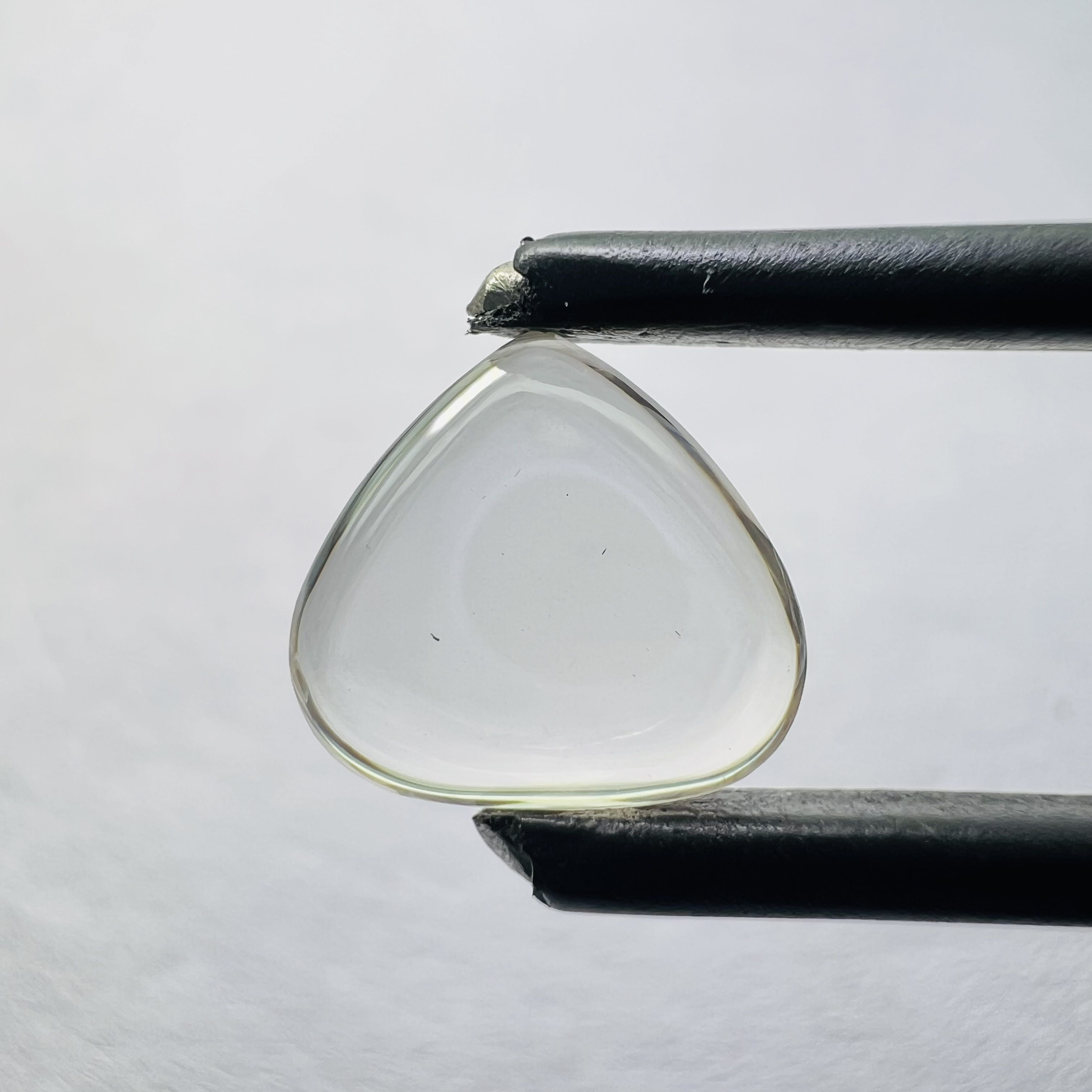 Comme spectacle dans l'image