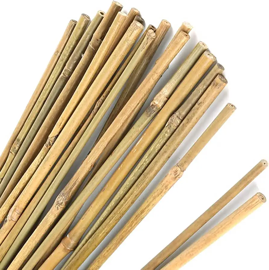 Sterke Fabriek Natuurlijke Bamboe Palen Recht Voor Bouw 8M (Niet-Behandeld) Voor Goedkope Prijs