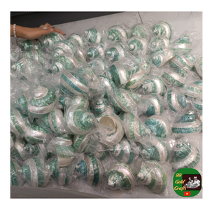 เปลือกหอยเทอร์โบเพิร์ลขัดเงาขนาดใหญ่เปลือกหอยเทอร์โบไข่มุกขัดเงาขนาดใหญ่เปลือกหอยเปลือกหอยเปลือกหอยเปลือกหอยเปลือกหอยเปลือกหอยเปลือกหอยเปลือกหอยสังข์ธรรมชาติสำหรับทำเครื่องประดับ - Product Image 4