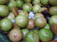Verse Ster Appel Heerlijk Fruit Met Beste Prijs Goederen Voor Export Naar Vele Markt