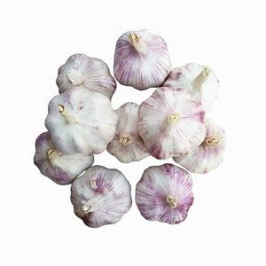 Best Quality Organic <b>Fresh</b> <b>Garlic</b> from France Export Standard for Food Use - Product Image 5