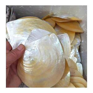 Cuillère et plat en nacre artisanale, assiette de qualité supérieure pour la cuisine gastronomique Assiette en nacre artisanale pour la décoration de table - Product Image 6