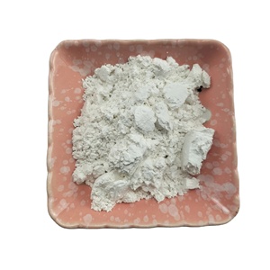 Carbonato de Calcio en Polvo de Vietnam para Moldeo por Extrusión y Fabricación Industrial de Plásticos - Product Image 2