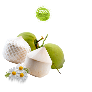 มะพร้าวเพชรปอกเปลือกบรรจุอย่างไรสำหรับตลาดโลก - Product Image 1