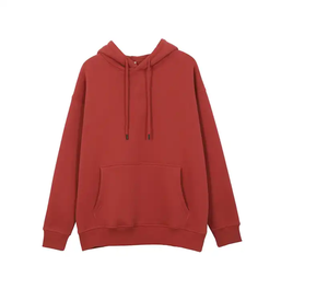 OEM Sweat à capuche unisexe lourd de haute qualité 100% coton Logo personnalisé Pull en polaire éponge française Sweats à capuche épais - Product Image 3