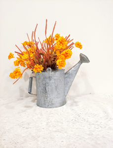 Regadera Superior a prueba de óxido, regadera de jardín de Metal galvanizado, regadera perfecta para jardinería diaria, flores al aire libre - Product Image 2