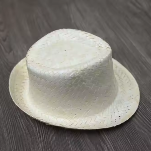 Sombrero de paja de Panamá Natural de alta calidad con ala ancha Eco2go Sombrero de pesca de protección solar de Vietnam Hecho de hierba duradera Uso en verano - Product Image 1
