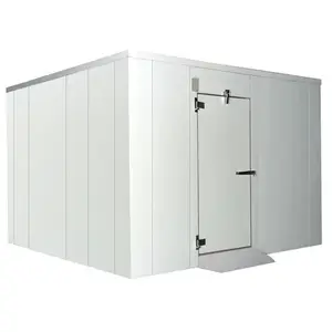 Best Quality Cold Room Modular Cold Storage Room with PU Insulated Walk in Freezer Room with 2 Ton Storage Capacity