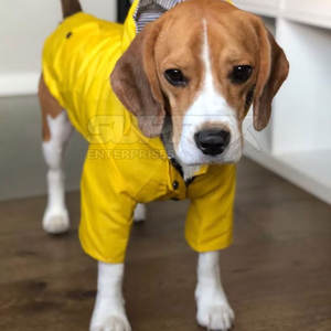 Impermeable para Perros de Algodón Moderno de Alta Calidad 2026, con Capucha, Ligero y Resistente al Viento - Product Image 2