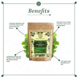 Khadi Poudre Naturelle de Feuilles de Brahmi Biologique-100% Naturel-100g - Product Image 4