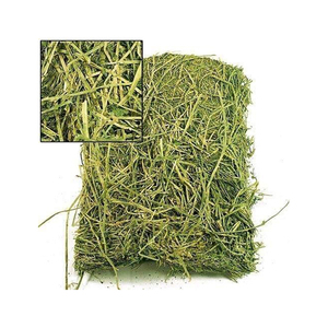 Low Price Alfalfa Hay High Fiber Feed Bulk Supply Factory Price Farm Grade Product - Product Image 5