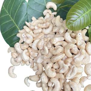 Gran oferta 2025 anacardos baratos anacardos Vietnam anacardos Ww180 Ww240 Ww320 listos para enviar - Product Image 1