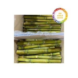 Palitos de caña de azúcar congelados IQF de sabor fresco convenientes listos para usar para jugo de bebidas distribución al por mayor - Product Image 1