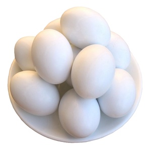 Huevos de gallina 100% frescos, blancos y marrones, suministrados a importadores a granel que buscan productos avícolas de calidad a nivel mundial. - Product Image 2