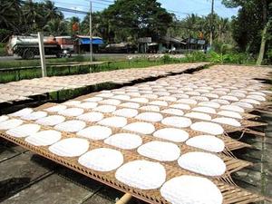 Top Export Ricepaper Vietnam Origin High Quality Whole Ricepaper for Sale Holiday - Product Image 5