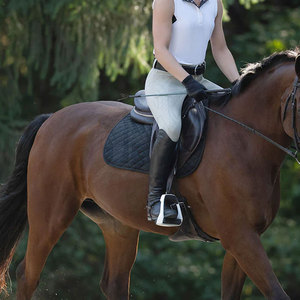 Leggings de equitación para mujer al mejor precio, de tiro medio, transpirables, ajustados y flexibles, ideales para práctica de equitación y entrenamiento al aire libre. - Product Image 5