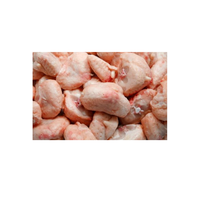 Queues de poulet surgelées de haute qualité, en gros, avec emballage de qualité export pour les acheteurs en gros
