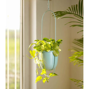 Jardinières de décoration de maison antiques Pots de fleurs suspendus Jardinières suspendues en métal de qualité exclusive Pots de fleurs au prix le plus bas - Product Image 3