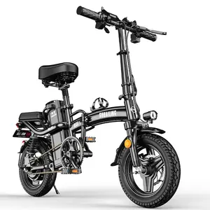 Bicicleta eléctrica plegable de 14 pulgadas, bici eléctrica más popular, 2022