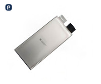 Baterai Lithium-ion Polymer 3.7V 2.5C 48000mAh Isi Ulang Daya Tinggi