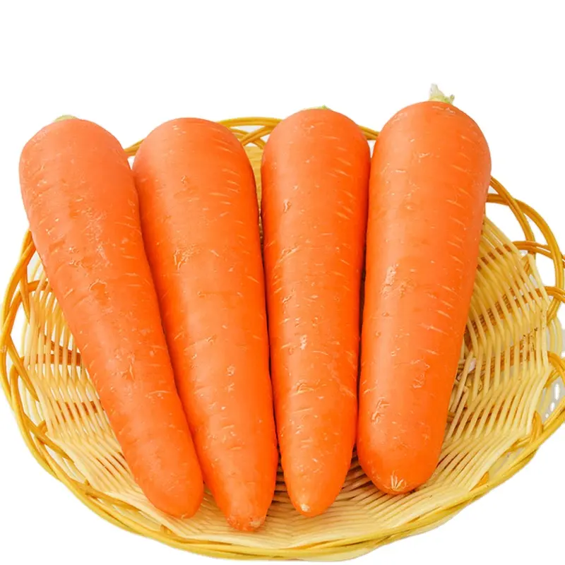 Nuovo raccolto carota miglior commercio all'ingrosso