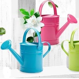 Hotel <b>Gardens</b> Outdoor Water Can Multi-Functional Set of 2 Watering <b>Cane</b> Luxury Hotel <b>Gardens</b> Outdoor Plant - Product Image 2